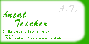 antal teicher business card